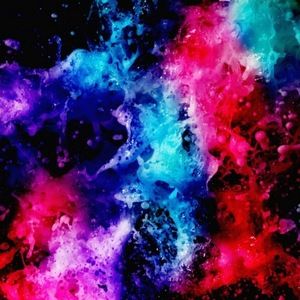 Meet your Posher, Isabella